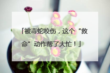 被毒蛇咬伤，这个“救命”动作帮了大忙！