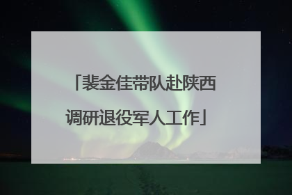 裴金佳带队赴陕西调研退役军人工作