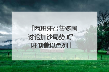 西班牙召集多国讨论加沙局势 呼吁制裁以色列