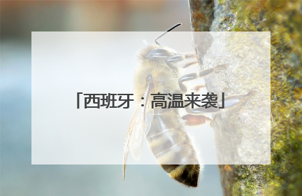 西班牙：高温来袭