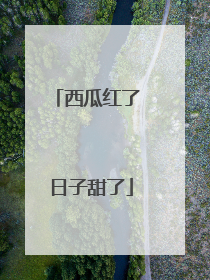 西瓜红了 日子甜了