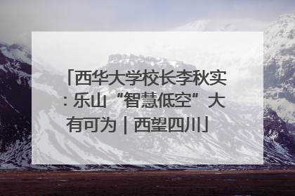 西华大学校长李秋实：乐山“智慧低空”大有可为｜西望四川