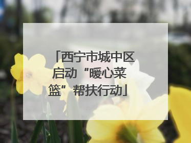 西宁市城中区 启动“暖心菜篮”帮扶行动
