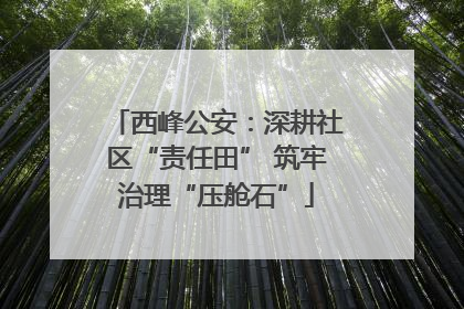 西峰公安：深耕社区“责任田” 筑牢治理“压舱石”