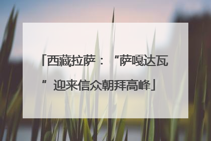 西藏拉萨：“萨嘎达瓦”迎来信众朝拜高峰