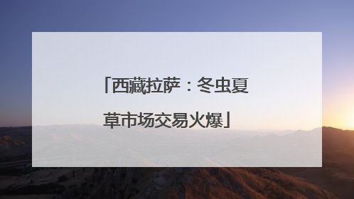 西藏拉萨：冬虫夏草市场交易火爆