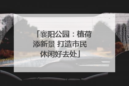 襄阳公园：植荷添新景 打造市民休闲好去处