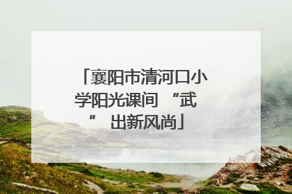 襄阳市清河口小学阳光课间 “武” 出新风尚