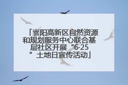 襄阳高新区自然资源和规划服务中心联合基层社区开展“6·25”土地日宣传活动