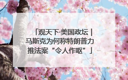 观天下·美国政坛｜马斯克为何称特朗普力推法案“令人作呕”