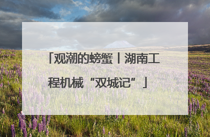 观潮的螃蟹丨湖南工程机械“双城记”