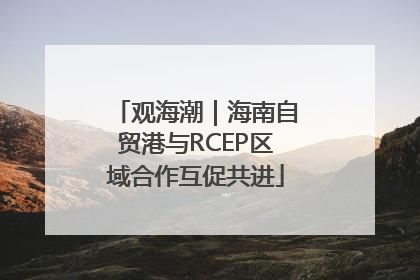 观海潮｜海南自贸港与RCEP区域合作互促共进