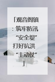 观音阁镇：筑牢防汛“安全堤” 打好抗洪“主动仗”