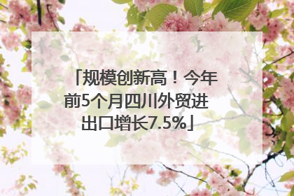 规模创新高！今年前5个月四川外贸进出口增长7.5%