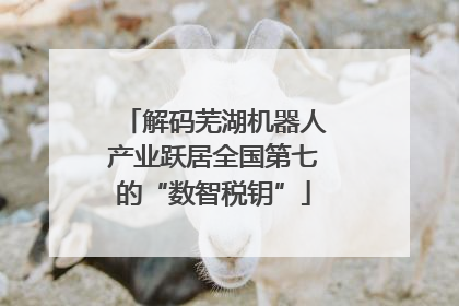 解码芜湖机器人产业跃居全国第七的“数智税钥”