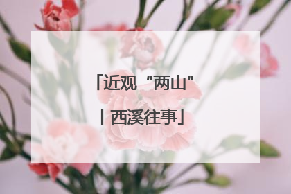 近观“两山”丨西溪往事