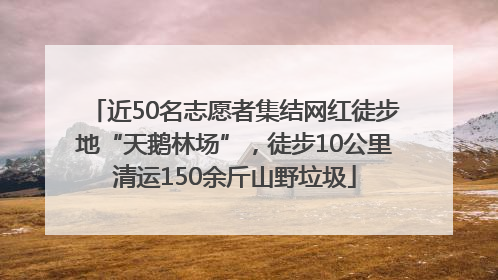 近50名志愿者集结网红徒步地“天鹅林场”，徒步10公里清运150余斤山野垃圾