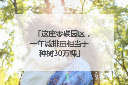 这座零碳园区，一年减排量相当于种树30万棵