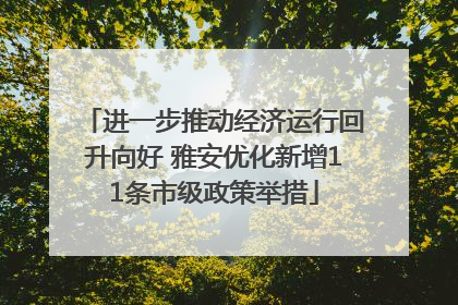 进一步推动经济运行回升向好 雅安优化新增11条市级政策举措