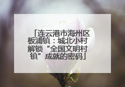 连云港市海州区板浦镇：城北小村解锁“全国文明村镇”成就的密码