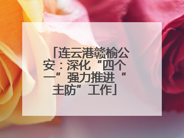 连云港赣榆公安：深化“四个一”强力推进“主防”工作