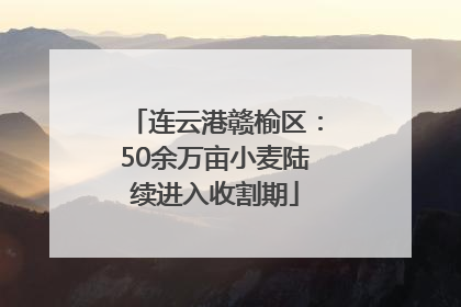 连云港赣榆区：50余万亩小麦陆续进入收割期