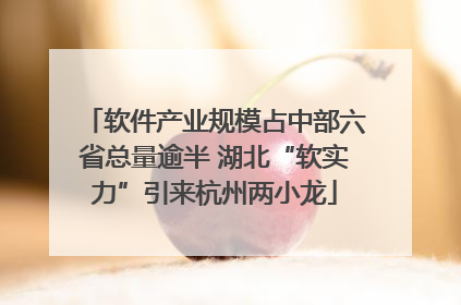 软件产业规模占中部六省总量逾半 湖北“软实力”引来杭州两小龙