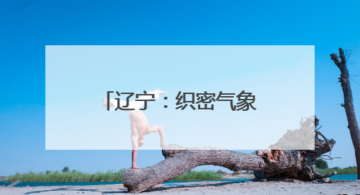 辽宁：织密气象安全防护网｜增发国债气象项目落地见效系列报道