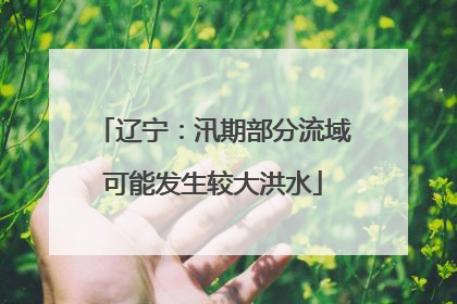辽宁：汛期部分流域可能发生较大洪水
