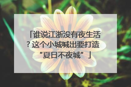 谁说江浙没有夜生活？这个小城喊出要打造“夏日不夜城”