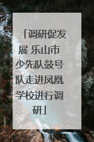 调研促发展 乐山市少先队鼓号队走进凤凰学校进行调研
