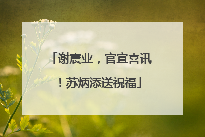 谢震业，官宣喜讯！苏炳添送祝福