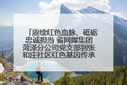 赓续红色血脉、砥砺忠诚担当 省网媒集团菏泽分公司党支部到张和庄社区红色基因传承馆开展主题党日活动