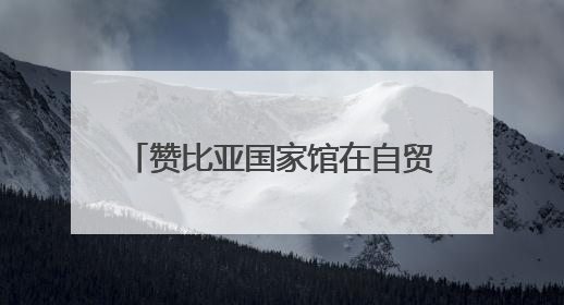 赞比亚国家馆在自贸雨花区块正式揭牌