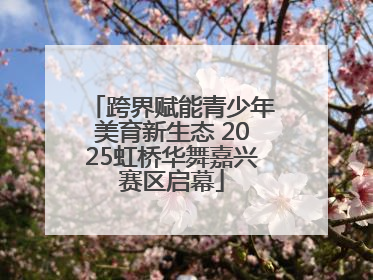 跨界赋能青少年美育新生态 2025虹桥华舞嘉兴赛区启幕