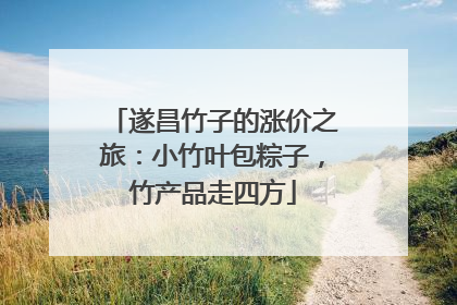 遂昌竹子的涨价之旅：小竹叶包粽子，竹产品走四方