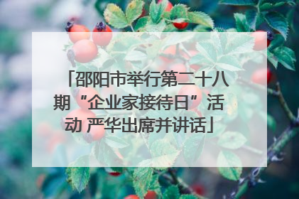 邵阳市举行第二十八期“企业家接待日”活动 严华出席并讲话