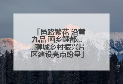 邑路繁花 沿黄九品 画乡鲤都……聊城乡村振兴片区建设亮点纷呈