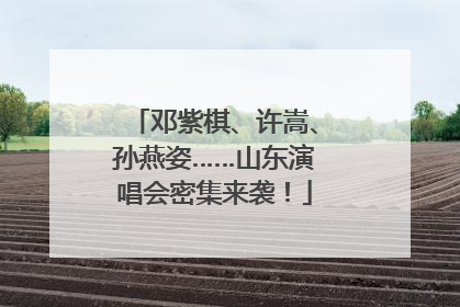邓紫棋、许嵩、孙燕姿……山东演唱会密集来袭！