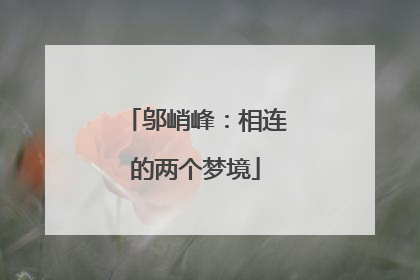 邬峭峰：相连的两个梦境