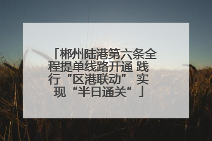 郴州陆港第六条全程提单线路开通 践行“区港联动” 实现“半日通关”