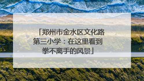 郑州市金水区文化路第三小学：在这里看到拳不离手的风景