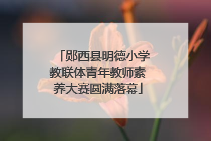 郧西县明德小学教联体青年教师素养大赛圆满落幕