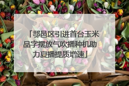 鄠邑区引进首台玉米品字摆放气吹播种机助力夏播提质增速