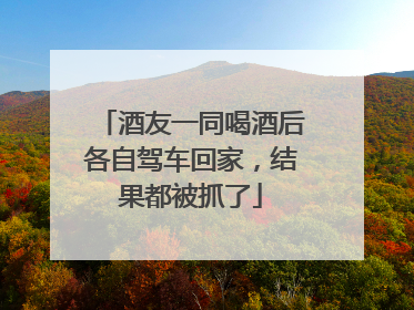 酒友一同喝酒后各自驾车回家，结果都被抓了