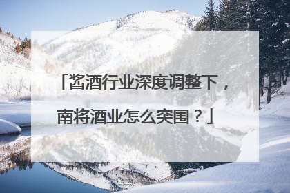 酱酒行业深度调整下，南将酒业怎么突围？