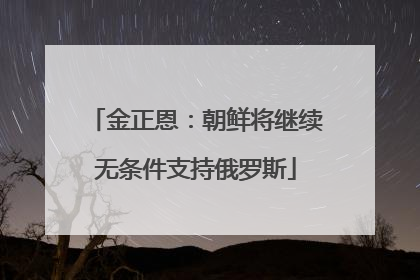 金正恩：朝鲜将继续无条件支持俄罗斯
