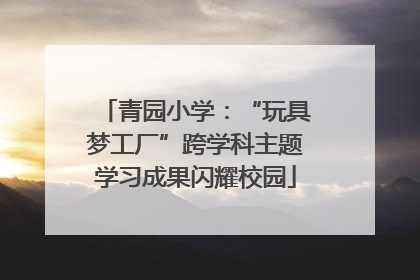 青园小学：“玩具梦工厂”跨学科主题学习成果闪耀校园