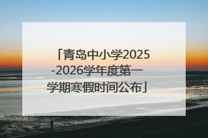 青岛中小学2025-2026学年度第一学期寒假时间公布