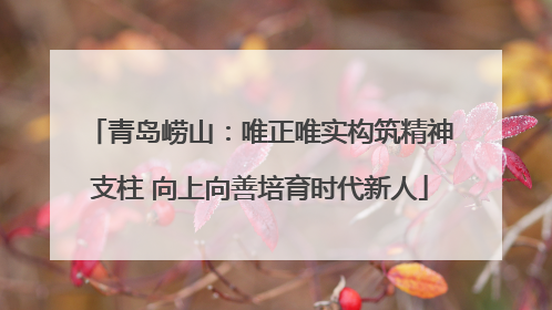 青岛崂山：唯正唯实构筑精神支柱 向上向善培育时代新人